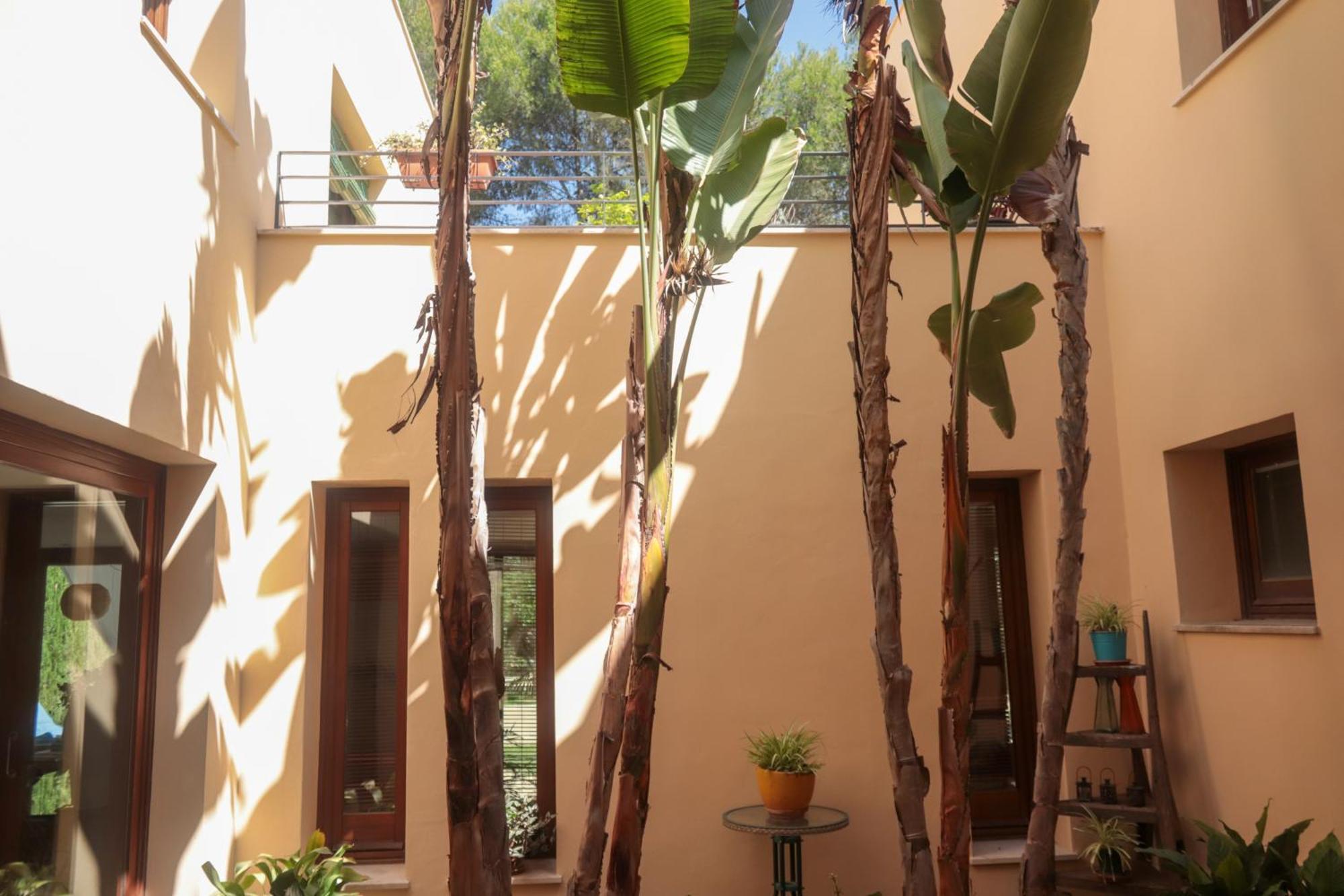 Casa Boticario Villa Mairena del Aljarafe Dış mekan fotoğraf